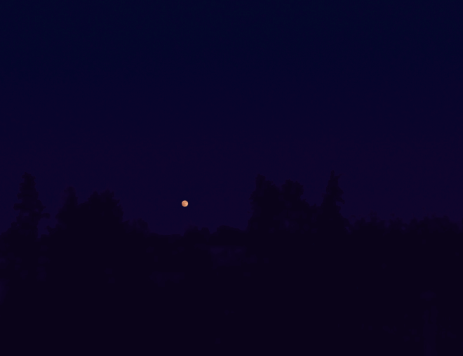 The moon, looking orange due to moisture and dust in the air. Captured with iPhone 5S at ISO 40