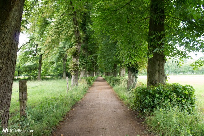 Green paths at Twente University