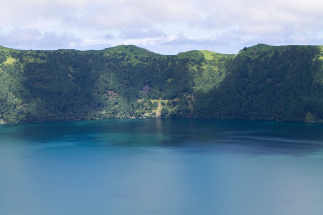 IMG_0909_processed_1