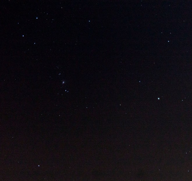 The Orion constellation on New Year's Eve